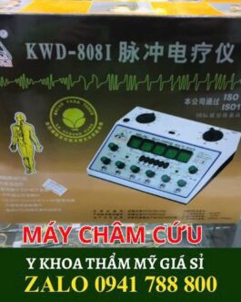 Máy Điện Châm KWD 808I- Máy điện châm thế hệ mới