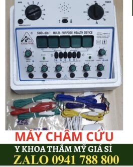 Máy Điện Châm KWD 808I- Máy điện châm thế hệ mới